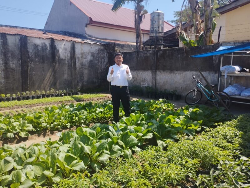 Sekcam Mariso tinjau langsung tanaman Longwis. (Foto: Istimewa)