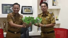 Ribuan Bibit Cabai Tersalurkan ke Longwis di Mariso. (Foto: Istimewa)