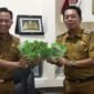 Ribuan Bibit Cabai Tersalurkan ke Longwis di Mariso. (Foto: Istimewa)